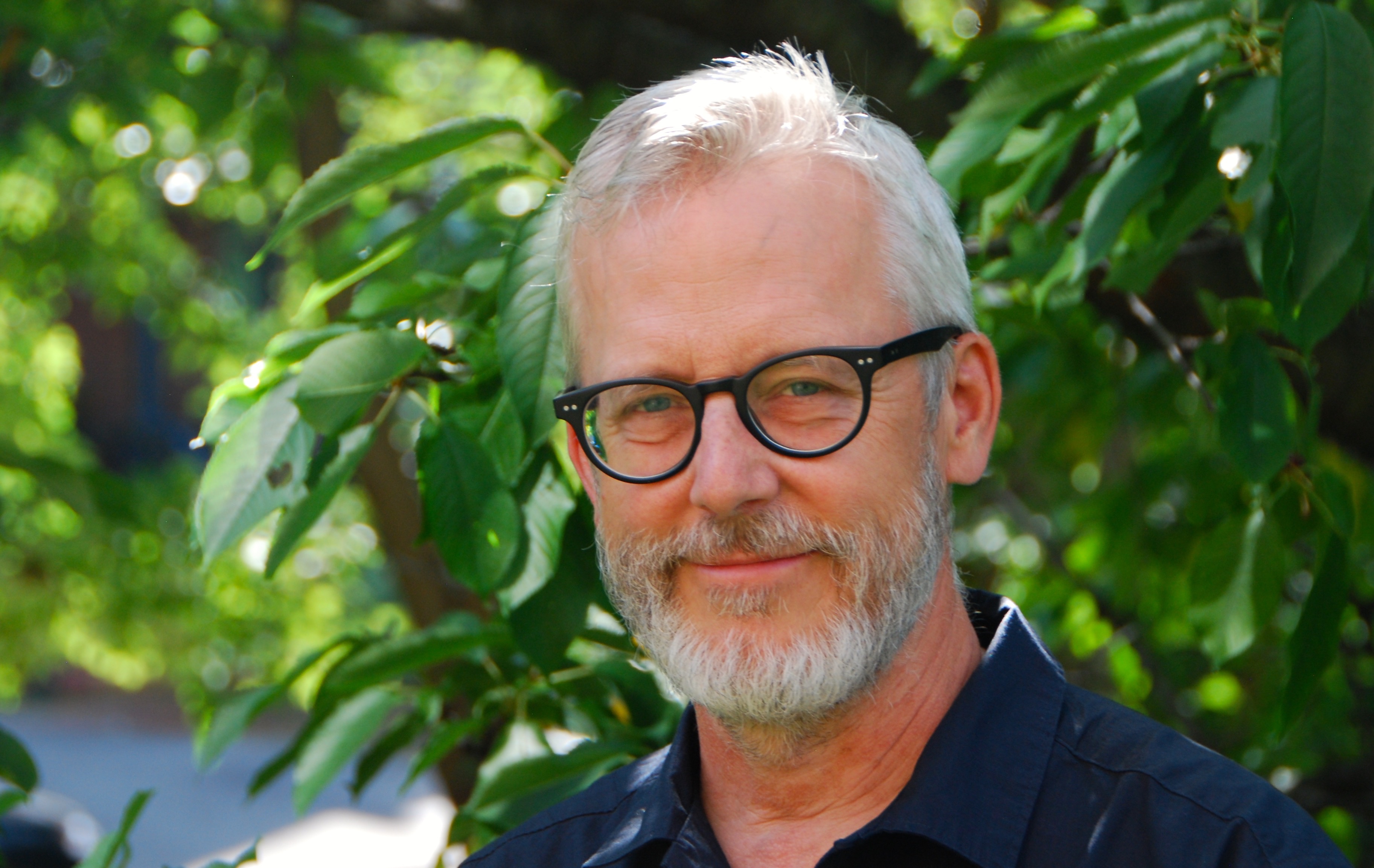 In the Tree House by Andrew Larsen In the Tree House by Andrew Larsen